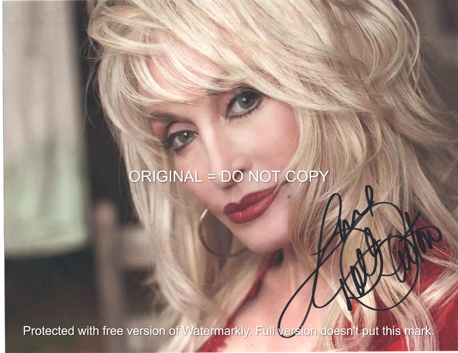 DOLLY PARTON - STUNNING POSE COUNTRY LEGEND - HAND SIGNED AUTOGRAPHED PHOTO